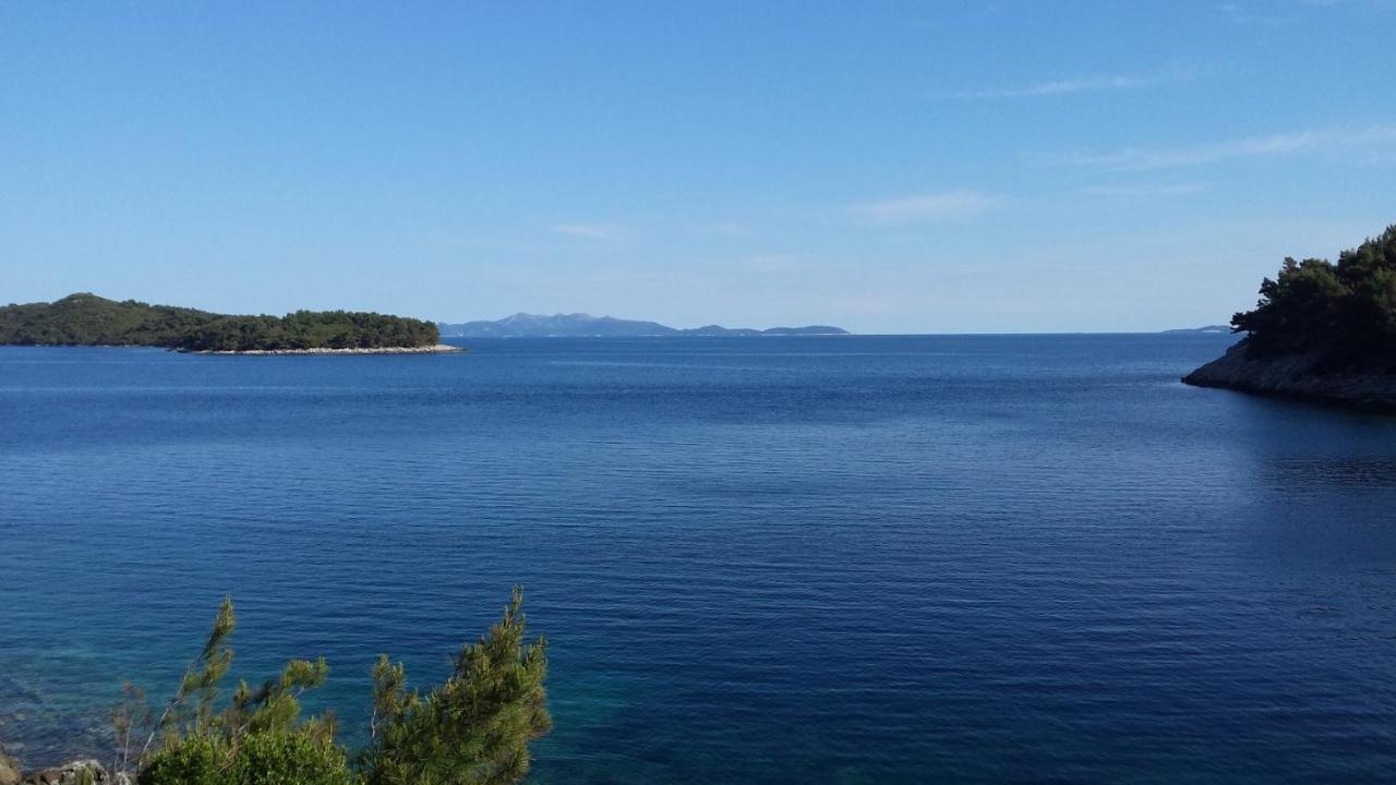 Apartments By The Sea Cove Zaglav, Korcula - 12208 プリズバ エクステリア 写真